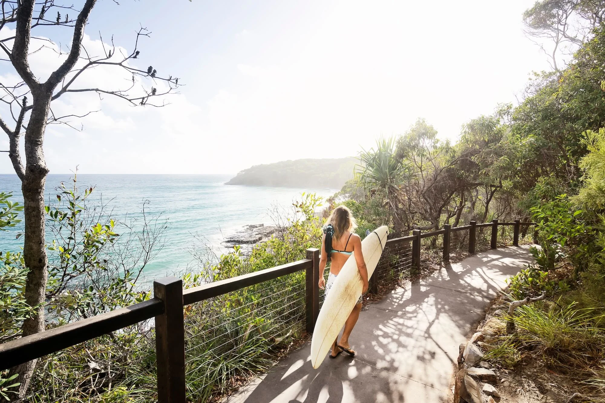 Sydney, Rock & Shores